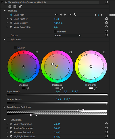 Premire Pro color correction